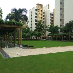 WhatsApp Image 2025-03-08 at 17.31.14